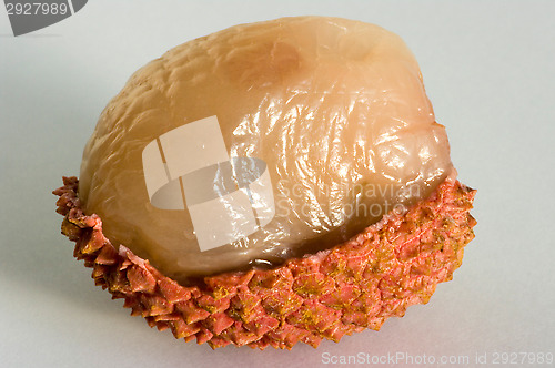 Image of Litchi chinensis