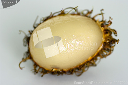 Image of Nephelium lappaceum