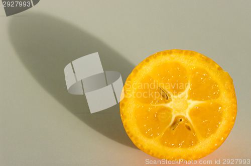 Image of Kumquat