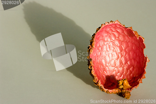 Image of Litchi chinensis