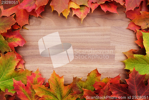 Image of Border of fall maple leaves on wood