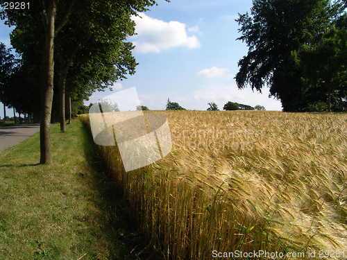 Image of country road