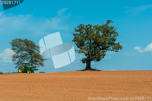 Image of farm field with lone tree