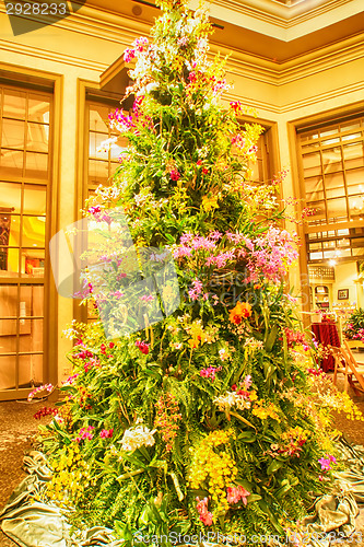 Image of botanical christmas tree 