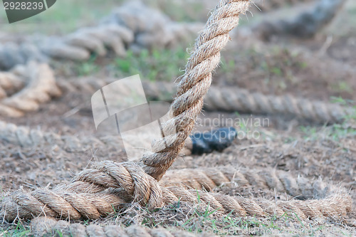 Image of rope against a grass background