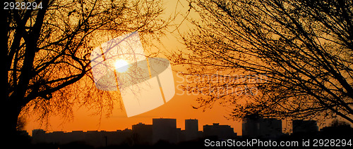 Image of silhouette of washington dc skyline at sunset