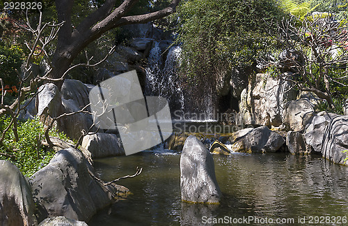 Image of Chinese Garden