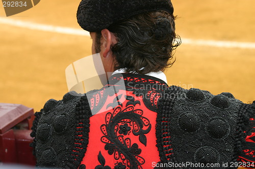 Image of Bullfighter