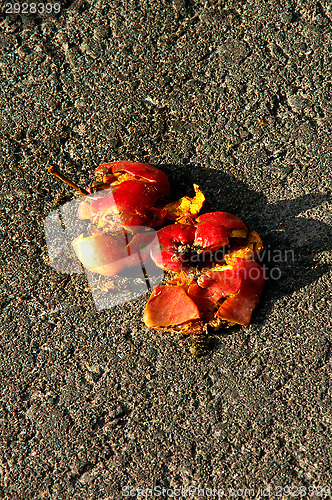 Image of Crushed apples