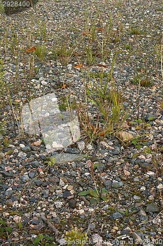 Image of Stones