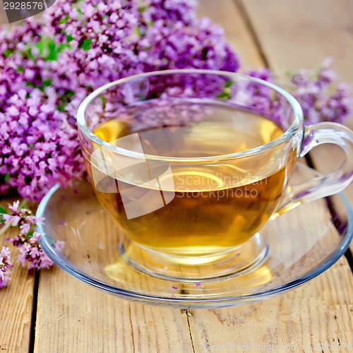 Image of Herbal tea of oregano on board in glass cup