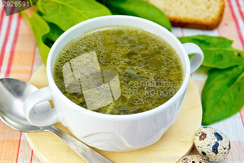 Image of Soup of greens on the fabric with a spoon