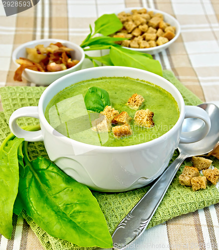 Image of Soup puree with spinach and spoon on fabric