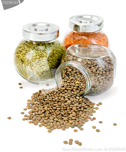 Image of Lentil different in jars