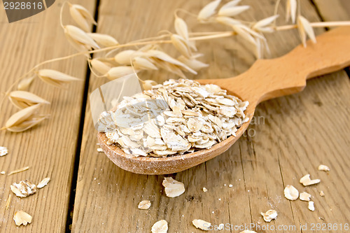 Image of Flakes oat in spoon on board
