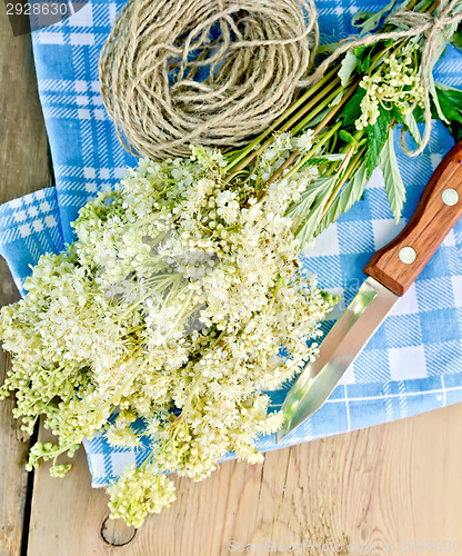 Image of Meadowsweet fresh with knife and twine on board