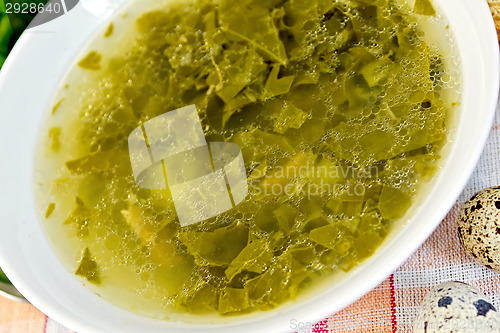 Image of Soup of greenery on fabric