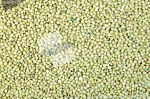 Image of Lentils green texture