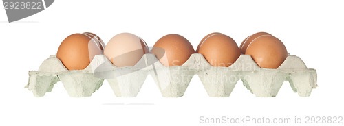 Image of Tray of eggs