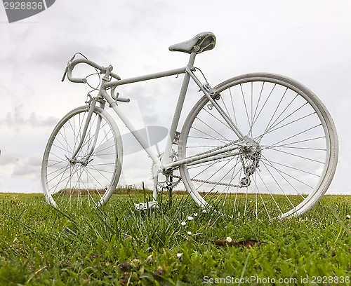 Image of Old White Bicycle in a Field