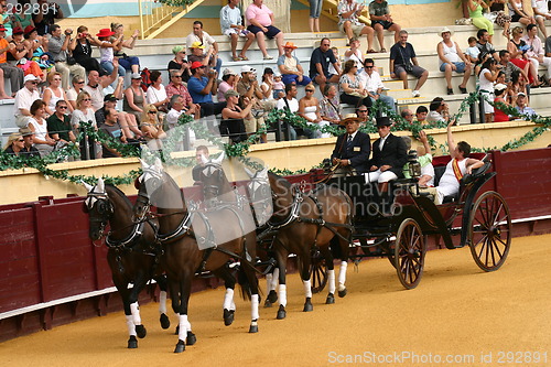 Image of Four horses with cariage