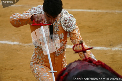 Image of Bullfighter