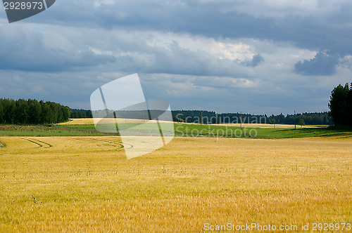 Image of Countryside