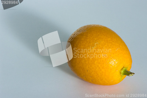 Image of Kumquat