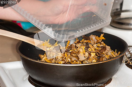 Image of Cantharellus lutescens