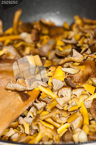 Image of Cantharellus lutescens