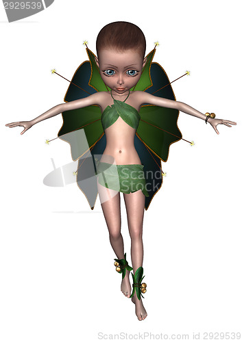 Image of Little Fairy