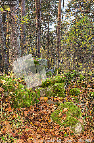 Image of Autumn
