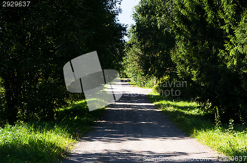 Image of Dirt road