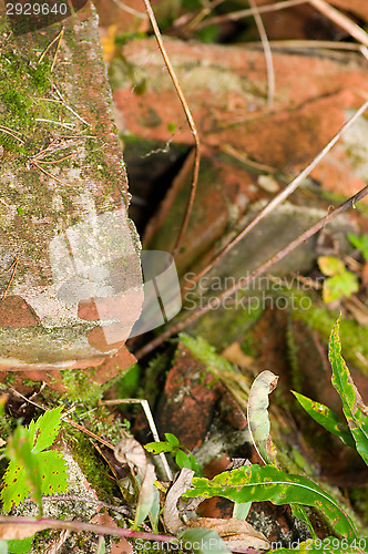 Image of Red bricks