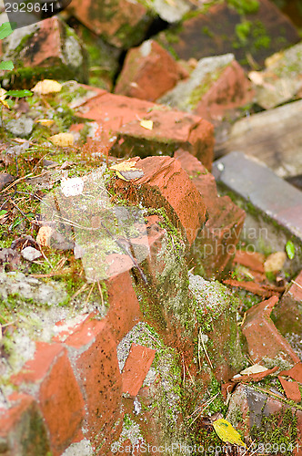 Image of Red bricks