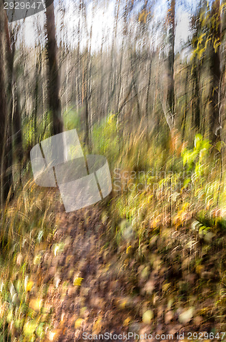Image of Autumn
