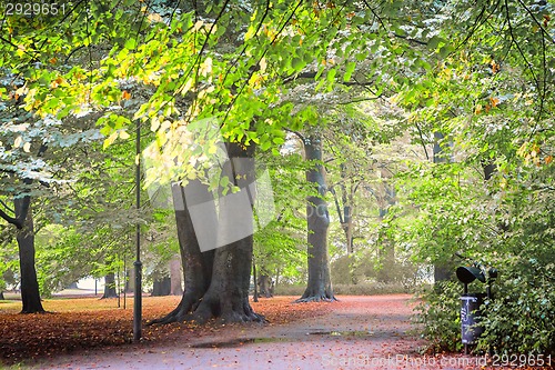 Image of Footpath in park