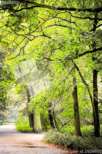 Image of Footpath in park