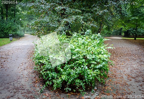 Image of Footpath in park