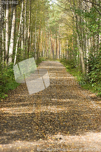 Image of Dirt road