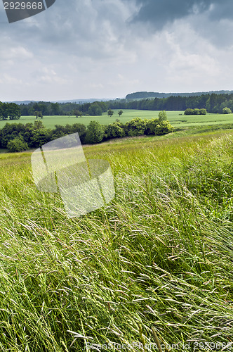 Image of Summer landscape