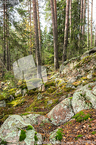 Image of Stones