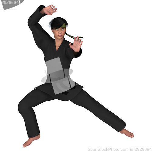 Image of Martial Arts