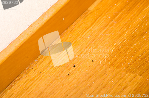 Image of Dust on the floor