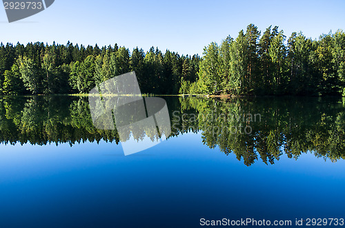 Image of Reflection