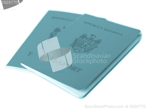 Image of Passport picture