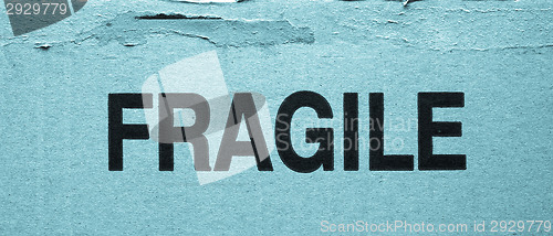 Image of Fragile