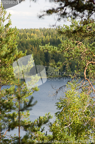 Image of Landscape