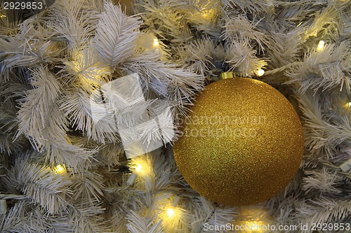 Image of christmas tree background