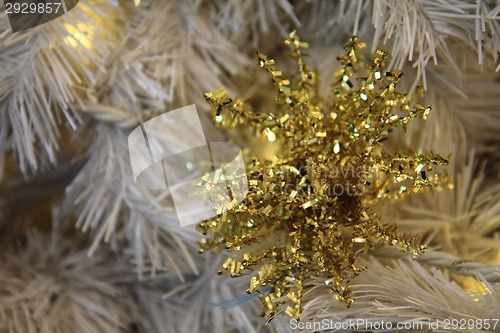 Image of christmas tree background